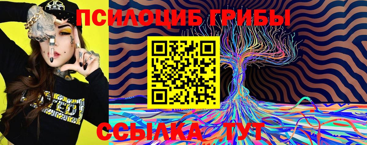 Галлюциногенные грибы GOLDEN TEACHER Дзержинский