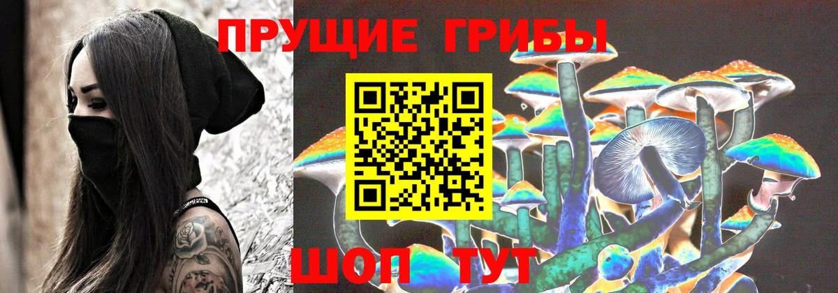 Дзержинский  Псилоцибиновые грибы прущие грибы  Вход с VPN 